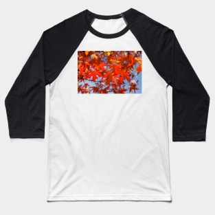 Maple (Acer ), red autumn leaves on a tree, Germany Baseball T-Shirt